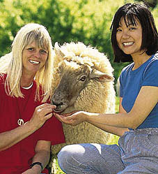 Farm Helpers in New Zealand